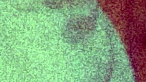 Buttahbaby With Strap On