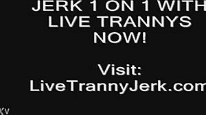 Watch this shemale cum on legs and feet.