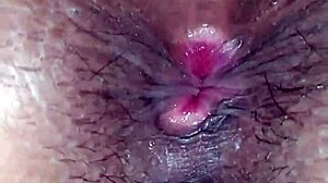 Cumming for the open ass of the tasty little brunette slut