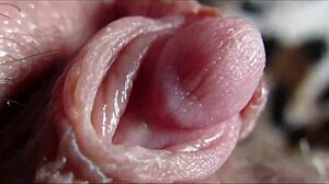 Petite Baby Michy Perez Gets Tight Holes Fucked Hard And Deep