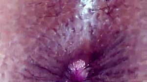 Cumming for the open ass of the tasty little brunette slut