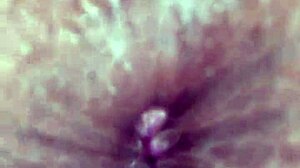 Cumming for the open ass of the tasty little brunette slut