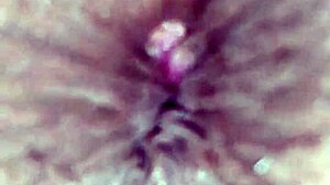 Cumming for the open ass of the tasty little brunette slut