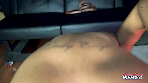 petite brunette evelyn enjoys a casual intimate encounter