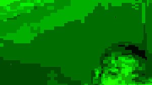 chubby babes proudly display their fat asses up close