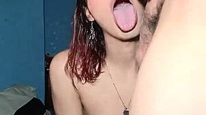Realfemboy update 163 - stunning shemale action awaits