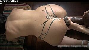 Huge toy stretches ass during fisting and masturbation