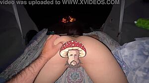 seasonal compilation gift