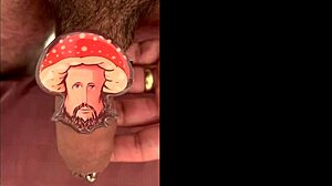 seasonal compilation gift