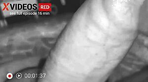 Man, that housewife nails a wild blowjob on our couch today