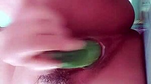 i creampie myself during vip masturbation