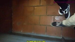 Best friend swallows on balcony