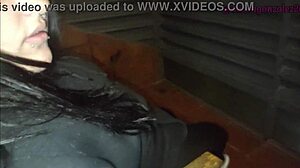 Best friend swallows on balcony