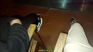 Best friend swallows on balcony