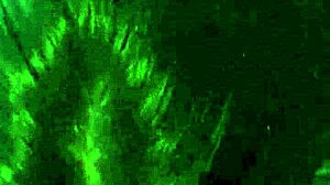 In The Kitchen I Sucked Deliciously And Begged Him To Fuck Me!