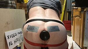 Personal verification of toy functionality and safety