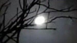 Village girl gets off in cold barn 🔥