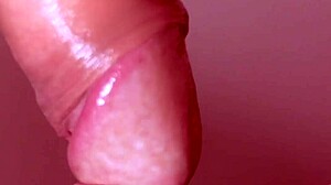 Young Stepmom Delivers Passionate Blowjob in Close-Up Mother-in-Law Scene