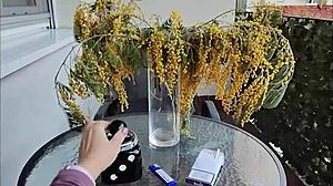 My step mom watches me suck my husband's dick