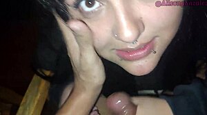 Best friend swallows on balcony