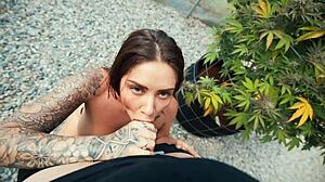 sexy sara blonde gives steamy outdoor blowjob with explosive cumshot