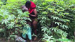 Did Our First Sex Experiment in the Bush with Course Mate Turn Out Amazing?