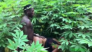Did Our First Sex Experiment in the Bush with Course Mate Turn Out Amazing?