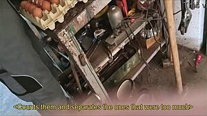 Straight Farmer Guy Convinced for Wild Ranch Blowjob