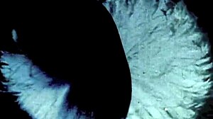 Detailed depiction of vintage hairy foursomes in erotic victorian confessions from dark lantern entertainment