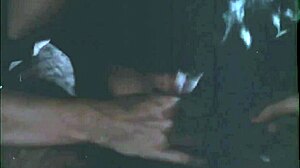 Detailed depiction of vintage hairy foursomes in erotic victorian confessions from dark lantern entertainment