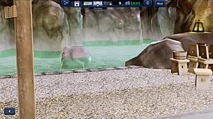 i can't believe how wild things got at harem hotel 101 with all the crazy games!