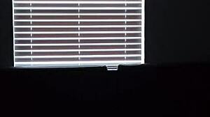 Big titty lesbian teases and rides huge BBC!