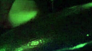 Italian Artemisia Love Shows Big Tits in Hot Car Ride!