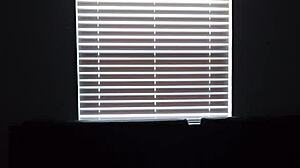 Big titty lesbian teases and rides huge BBC!