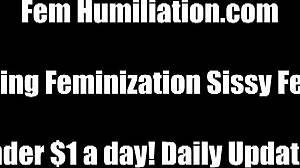 Show Tits, Wear Panties Now