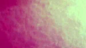 I fuck another man's wife when her husband is at work, and she gives me her ass that she denies him