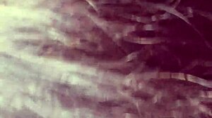 I fuck another man's wife when her husband is at work, and she gives me her ass that she denies him