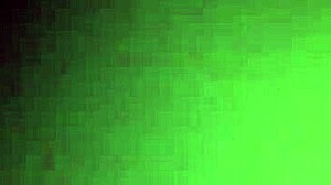 Reverse Cowgirl Riding Her Man Hard