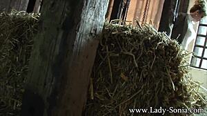 Lady sonia the peeping tom at the stables