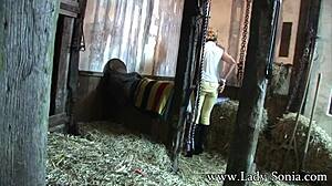 Lady sonia the peeping tom at the stables