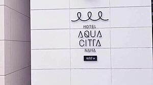 Okinawa hibiscus flower nipples