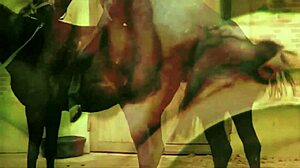 In a vintage taboo scene, emotions run high during outdoor doggystyle with hairy pussy