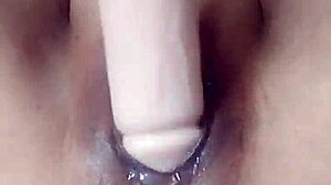 Pornstar Poosoo Boldly Fucks Herself With Dildo Again In Intense Scene