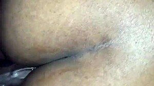 teetee d's amazing tight pussy steals the show.