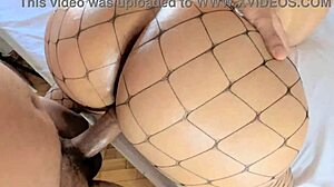 pov doggystyle latina milf is the best you'll see today