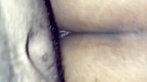 teetee d's amazing tight pussy steals the show.