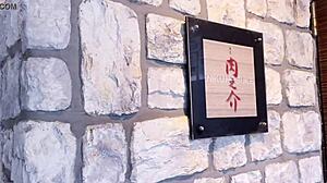 Okinawa hibiscus flower nipples