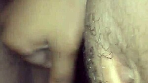 teetee d's amazing tight pussy steals the show.