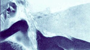 i love this vintage retro antique art collection