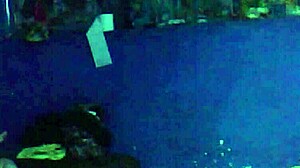 After The Party, I Sneak Out To Fuck The Neighbor